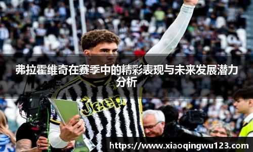 弗拉霍维奇在赛季中的精彩表现与未来发展潜力分析